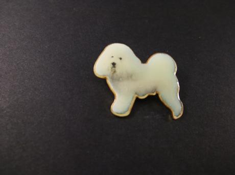Bichon frisé, Frans hondenras